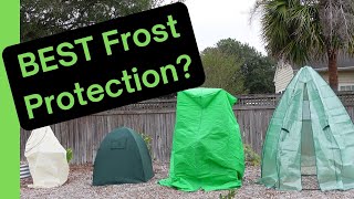 How big are they? Bags vs Domes vs Greenhouse