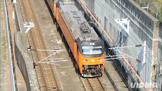 光復節拍車紀錄（更新版）