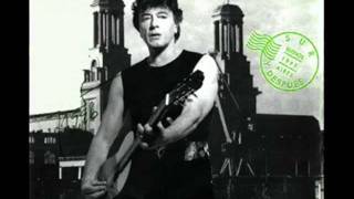 PATO TRABAJA EN UNA CARNICERIA - MORIS -