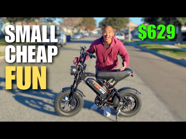 TEENS Will LOVE This Mini Ebike
