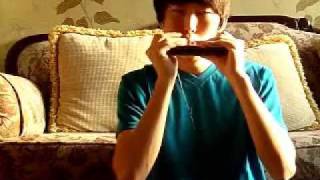 Circle Of Smiles(Baantjer Theme) Harmonica play(Toots Tielemans Cover)