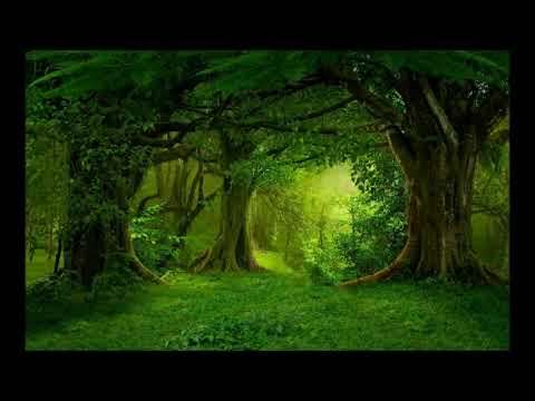 Magical Celtic Music - Ceridwen the Potion of Knowledge