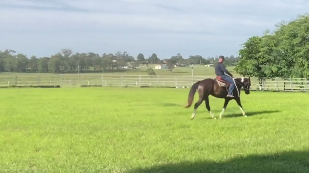 701BC7C0 0ADF 4370 B113 D04218F2AB1D