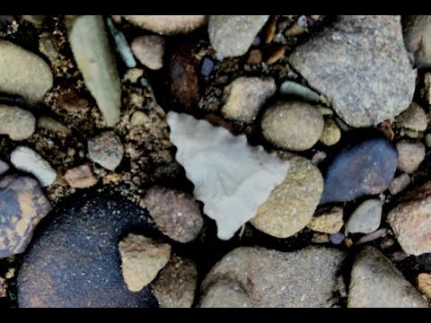 Arrowhead Hunting - 01/11/2020 - Mason County, West Virginia