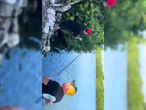 Villa del Carmen. Fishing club  delfines🐬 y una Catura de robalos 16/feb/2026  ✌️✌️✌️✌️