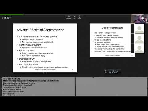 acepromazine tues lecture