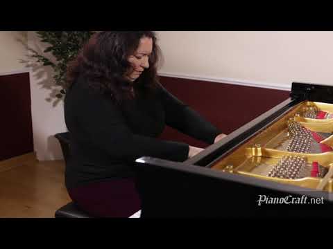 Bach Eb min Prelude Steinway D PianoCraft