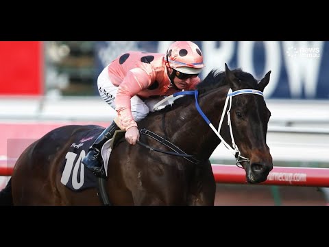 Black Caviar wins x25 (2009-2013)