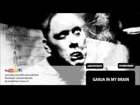 Vendettah - Ganja in my brain ( Frenchcore )