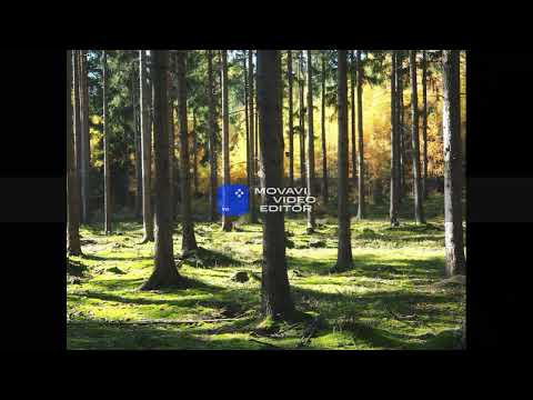 Relaxace: autogenní trénink a imaginace stromu