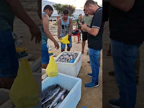 VENDENDO MANDIM NA BEIRA DO RIO NO PORTO DE CRUZEIRO DO SUL ACRE