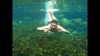 Meksika'ya Giriş , 1 Dolarlık Otel, Tulum, Cenoteler - MEKSİKA 1. BÖLÜM