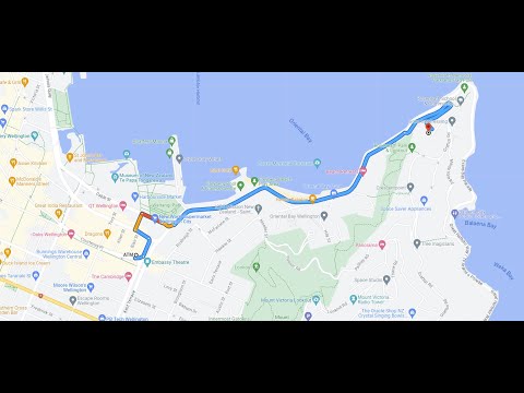 Rainy Day Uber Ride through Wellington's Scenic Route to Roseneath