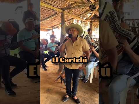 @joelantonionarvaez EL CARTELÚ EN VIVO DESDE CRAVO NORTE ARAUCA 2025