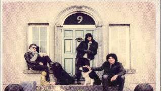 Se Sei L'Amore - Live Music Video