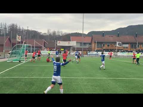 Annullering Skarphedin