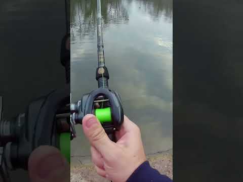 Baitcarster shimano #Westin #viral #hecht #barsch #angelschein #fish #fishing #fishtok #fishinglife