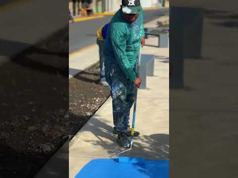 EL PLAN COLOR LLEGÓ AL PASEO EL LIBERTADOR DE LA COMUNA GRAN CARPIERA SOCIALISTA