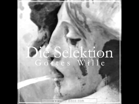 DIE SELEKTION - Gottes Wille