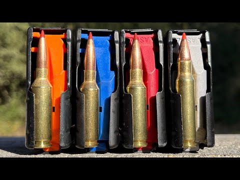 22 ARC vs 6mm ARC vs 6.5 Grendel vs 6.8 SPC: Did Not Expect This