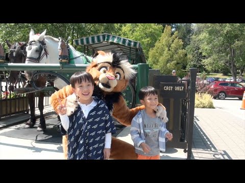 Kitwana's Fursuiting Frenzy: The 2019 Best-of!