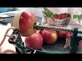 How to Use an Apple Peeler-Coorer-Slicer
