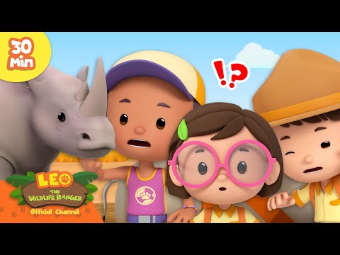 Witness21 Editor  2025 02 20