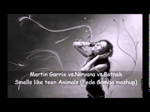 Martin Garrix vs.Nirvana vs.Botnek - Smells Like Teen Animals (Original Fede Gamba Mashup)