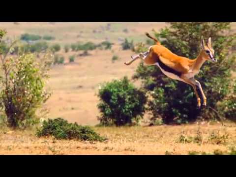 The Hunt: Trailer 2 - BBC One"