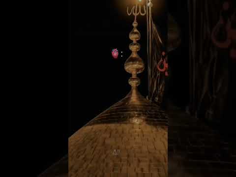 tasbeeh al zahra haj mahdi rasoli urdu/tasbeeh al zahra //tasbihat hazrat zahra reaction#syed#shrine