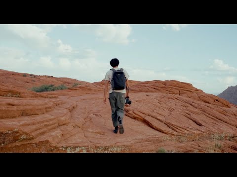 What’s in My 2025 Camera Bag