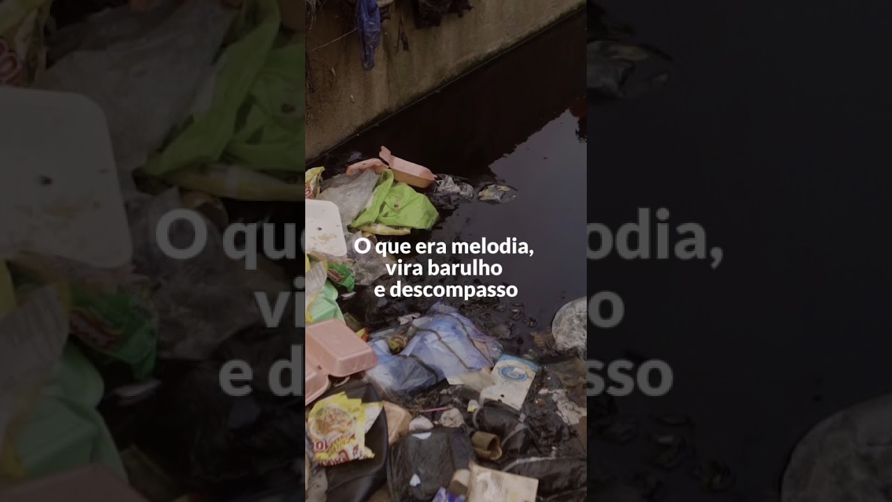 Dia Mundial do Meio Ambiente