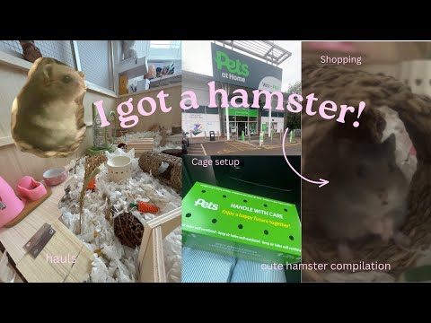 I got a hamster!! 🐹 *shopping, hauls, cage setup, cute hamster compilation*