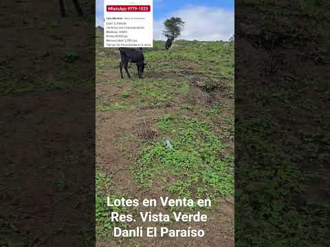 lotes en venta desde Honduras Danli El Paraíso.