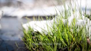 The Real Thing by Felician Barton