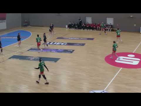 11. Spieltag in der Mitteldeutschen Oberliga Frauen - BSV Sachsen Zwickau gg. HSV Magdeburg