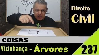 Direito Civil - Aula #237 - Vizinhança - Árvores (É isso!)