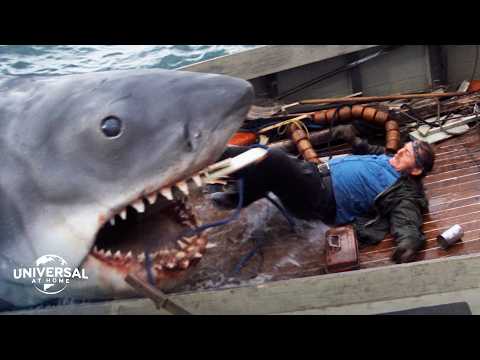 The Final Shark Attack