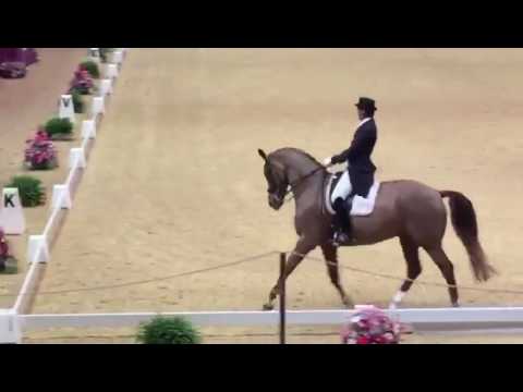 Emile Faurie - Weekend Fun - Grand Prix - 2016 CDI-W London Olympia