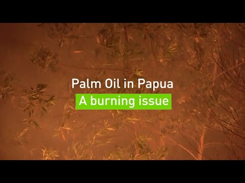 Burning Paradise an Investigation
