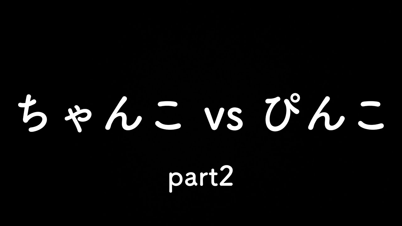 格闘技犬？親子対決　【お知らせ】