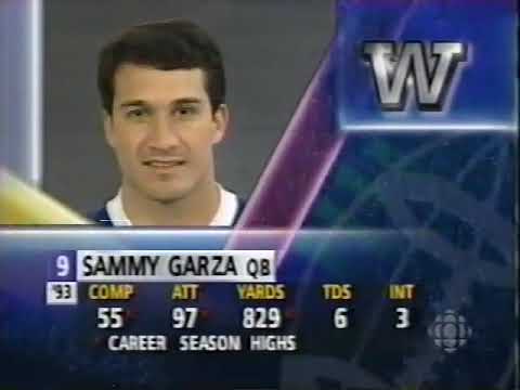 November 21, 1993 - CFL - East Final - Hamilton Tiger-Cats @ Winnipeg Blue Bombers