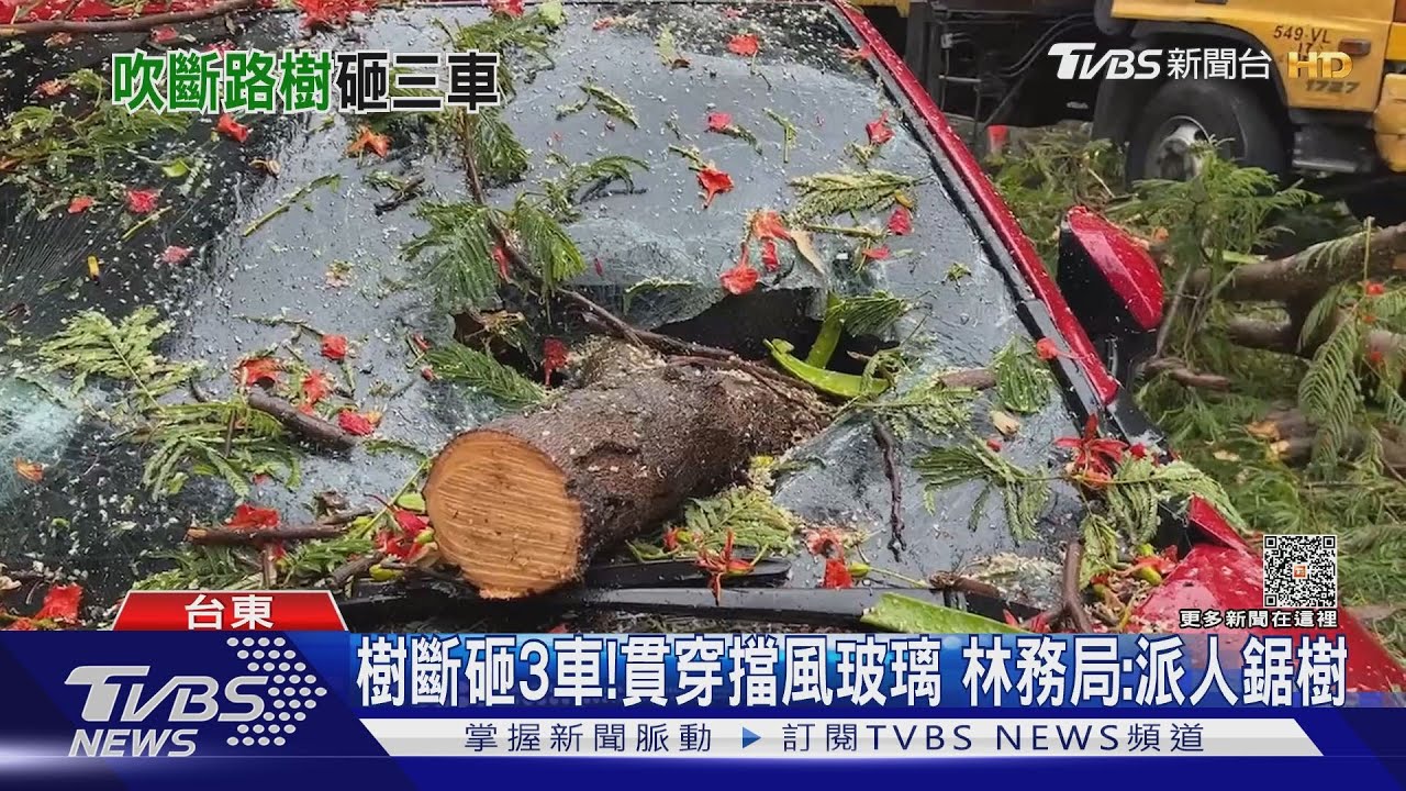 雨水瀑布!夾帶落葉排水孔堵 車道淹10公分