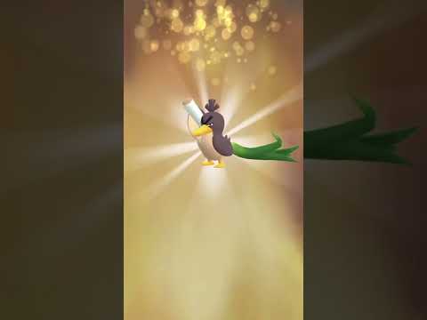 New member to my Farfetch d family #shorts #pokemongo