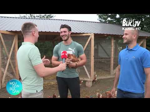 Farma "5 jaja" pokupila simpatije regiona: "Hteli smo da ostanemo na selu, ne da odemo" | BLIC DAN