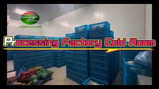 cold room Design and Construction