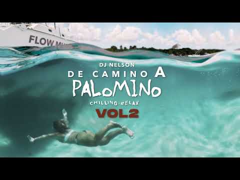 DJ Nelson x Rafa Pabön x Alejandro Armes - Moja La Yuca [Official Audio]