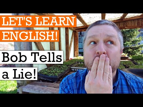 真実と嘘についての英単語とフレーズを学ぶ (Learn English Words and Phrases about Truth and Lies)