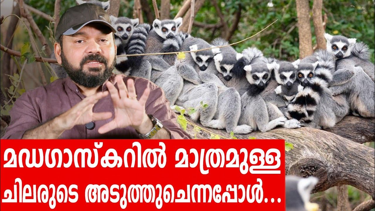 Sancharam | Madagascar - 02 | Santhosh George Kulangara | Safari TV