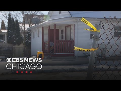 Joliet mom, 4-year-old son shot multiple times and beaten, court documents reveal